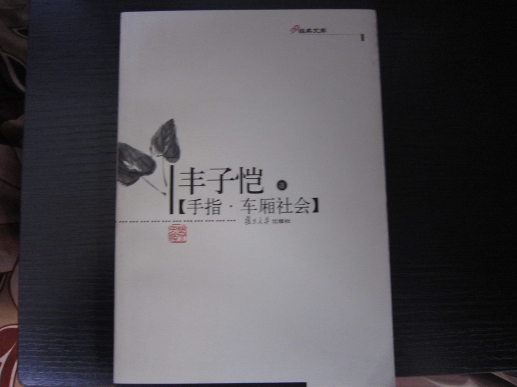 手指·车厢社会 99经典文库 丰子恺文集 包正版